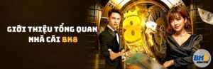 BK8 - Nhà cái uy tín số 1 châu Á - Link đăng ký và đăng nhập BK8 14 Tổng quan nhà cái BK8app